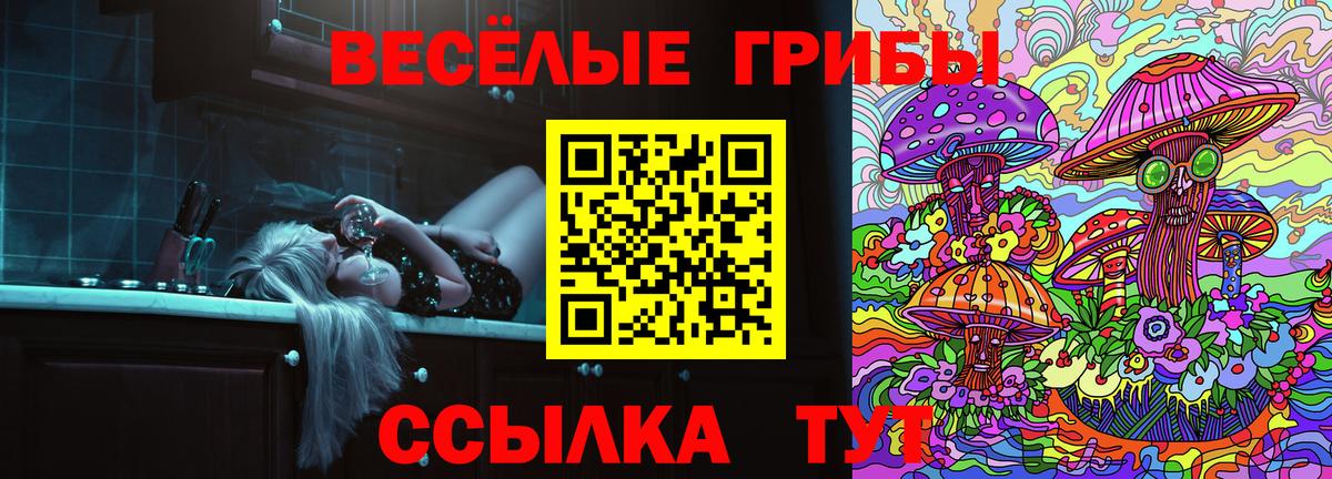 Новочеркасск  Псилоцибиновые грибы Psilocybine cubensis  Вход с VPN 