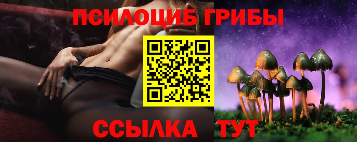 Псилоцибиновые грибы прущие грибы Новочеркасск