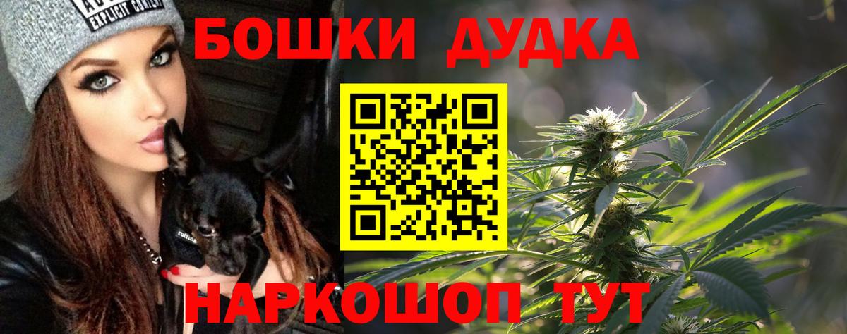 Бошки Шишки планчик Новочеркасск